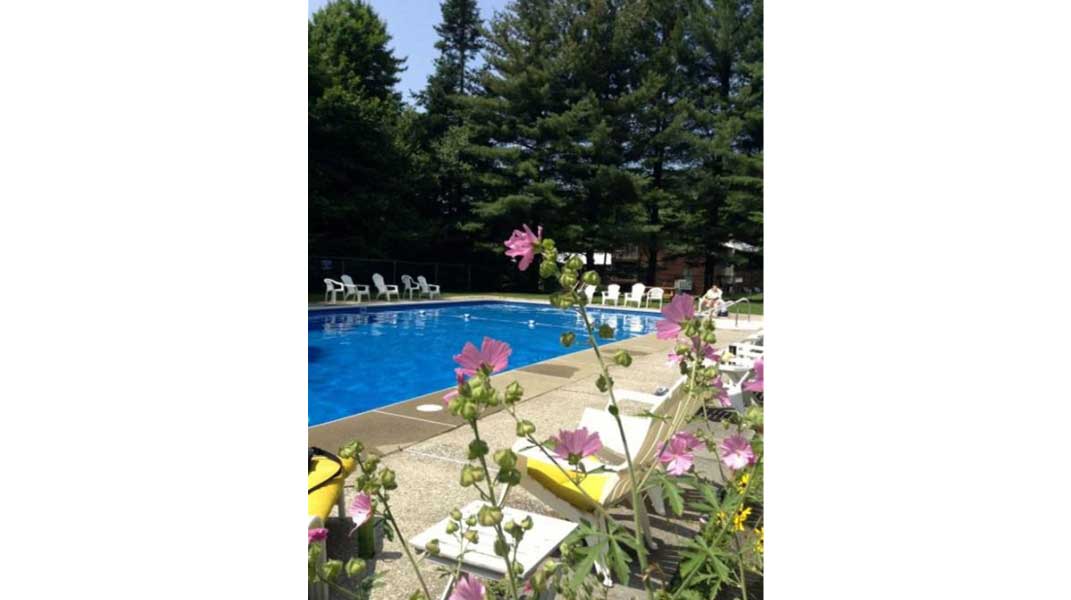 jpcpool Rocklake Rentals